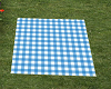 Poseless picnic blanket