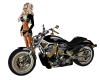 Custom Harley Motor Bike