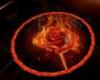 burning rose rug round