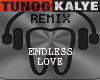 Endless Love Remix