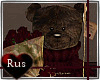 Rus: *V* love bear