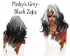 Pinkys Grey-Black Zajia