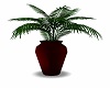 Maroon Plant Vase