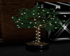 Ficus Tree Planter