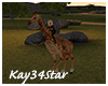 Jungle Park Giraffe