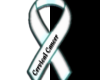 ~Cervical Cancer Ribbon