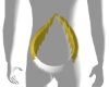 (D) Koda. tail 1