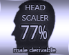 Head Resizer 77%