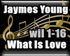What Is Love- Jaymes Yo