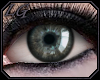 [LG] Greymoor Eyes