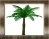 Animated Palmtree
