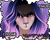 . eilva | hair v2