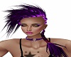 Purp MoHawk