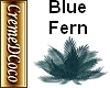 CDC-Plant-Fern Blue