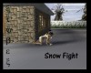[xTx] Snow Fight