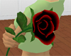 black rose with red