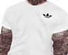 @300 WHITE+TATTOO
