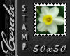 Daffodil Stamp 50x50