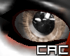 [C.A.C] Puffins M Eyes