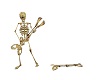 scheletro basista