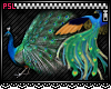 PSL Peacock Enhancer