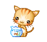 Kitten/fishbowl