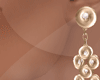 )Ѯ(Gold Earrings