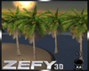 Z3D🐾 Palms Beach