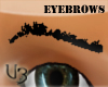 *V3-.Cher Eyebrows