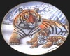 Tiger sticker #3