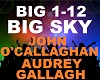 John O'Callaghan - Big