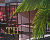___T.House.CLUB___