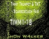 Timmy Trumpet & TNT - Sc