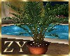 ZY: Diwali Plants Light