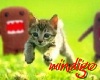 Kitten runs from monster