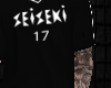 Seiseki 17-Zkywalker