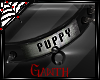 *G* Puppy : F