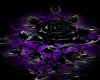 BLACK AND PURPLE ROSE