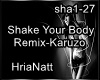 Shake Your Body Remix