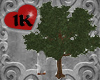 !!1K aurora tree swing
