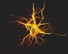Neuro Science Art 2