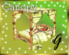 G- Bamboo Canopy