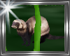 ! animated ferret