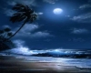 Tropical Moonlight Pic