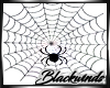 DERIVE Spider Web