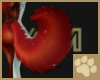 ~AM~ Xeondzo Tail v5