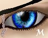 [apj] eye EBlue M