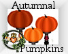 ~QI~ Autumnal Pumpkins