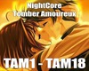 NightCore-TomberAmoureux
