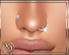 ℳ▸Duo P.Nose Silver